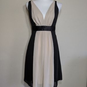 Sexy Sheer Dress V Neck Sleeveless EmpireWaist